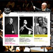 Pleyel - Webdesign. Art Direction, and Web Design project by Karine Decorpas - 10.10.2017
