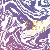 Festival Sinestesia - Proyecto de Facultad - FADU. Un proyecto de Diseño, Diseño editorial y Diseño gráfico de Carolina Cerutti - 12.12.2016
