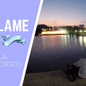 HÁBLAME GUAYAQUIL"‼️. Projekt z dziedziny  Motion graphics, Multimedia i Film użytkownika Juan Miguel Morocho - 16.10.2017