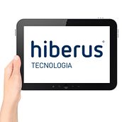 Negocio en Hiberus. Web Development, Web Design, and UX / UI project by Sara Serrano - 05.01.2017