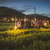 FRIENDS TRAVEL. Fotografia projeto de Leo Argüello - 16.10.2017