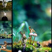 foto montaje . Desain proyek oleh roxanne stvz - 10.27.2017