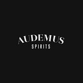Audemus Spirits. Br, ing, Identit, Web Development, Web Design, and Packaging project by Pulcro - 07.01.2013