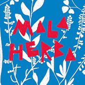 Vi Mala Herba. Graphic Design, Traditional illustration, and Packaging project by Neus Baidal Villada - 11.03.2017