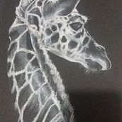 Jirafa con lapiz pitt. Un progetto di Illustrazione tradizionale di Jeli Gamboa - 05.11.2017