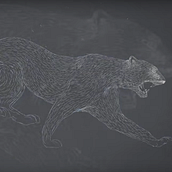 Dibujo para animación videoclip Fera. Ilustração tradicional projeto de Victoria Fdz-Oruña - 07.11.2017