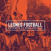 Leones Football - Presencia en Redes Sociales. Un proyecto de Cop, writing, Diseño, Marketing y Redes Sociales de Martín Hernández - 30.12.2016