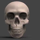 Craneo Study. Un progetto di 3D di Jean Rivera - 15.11.2017
