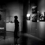 De museo. Photograph project by Alethia Gasca - 11.16.2017