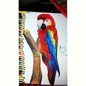 AVES A CRAYON. Een project van  Beeldende kunst y Schilderij van Shaques Green - 17.11.2017