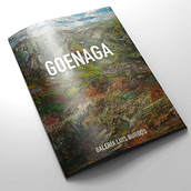 Catálogo Goenaga. Art Direction, and Graphic Design project by Carlota Antón Blanco - 02.10.2014