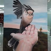 Una de mis pinturas casi por terminar, ya solo me faltan detalles, ¡esperen a verlo ya terminado! . % Juan Diego González tarafından hazırlanan Güzel sanatlar projesi - 11.14.2017