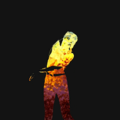 Loose Yourself. Animation, Multimedia, Photograph, and Post-production project by Caro Kohler - 09.19.2017