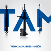 Branding ITAM. Br, ing, Identit, and Graphic Design project by Yuliana Cruz Zúñiga - 11.01.2014