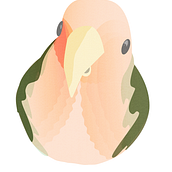 The Bird. Un proyecto de Ilustración tradicional de Lasma Pakne - 22.11.2017