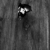 A t l, scene artwork. Un proyecto de Bellas Artes, Cine y Fotografía de Olga Soria - 29.11.2017