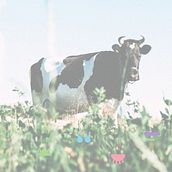 a_MILK_por_hora. Een project van Packaging van César García Piñeiro - 30.11.2017