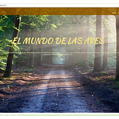 Pagina web. Web Development, and Web Design project by Ana De Gandarias - 12.01.2017