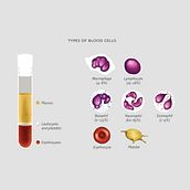 Basic Guide of Hemophilia. Art Direction, Editorial Design, Graphic Design, and Traditional illustration project by Daniel Belchí - 12.01.2017