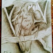Mi primer dibujo. Traditional illustration project by Josue Zapata Bolivar - 12.02.2017