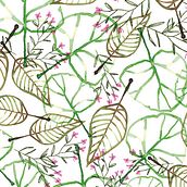 Colección Natural Green: pattern design . Desain proyek oleh Rebeca Martín Martínez - 12.12.2017