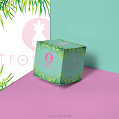 Shopping box. Br, ing & Identit project by Maria Alejandra - 12.22.2017