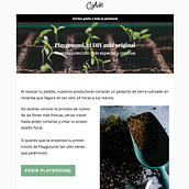 Inocentada_Newsletter. Un proyecto de Cop y writing de Ana Ruiz - 10.04.2017