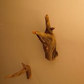 Percheros. Un proyecto de Diseño de Lucía Suárez - 03.01.2006