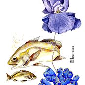 Fichas científicas. Fine Arts, Traditional illustration, and Painting project by Sarai Aleman - 01.06.2018