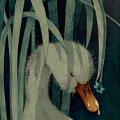 Ilustraciones para el clásico cuento "El patito feo". Un projet de Direction artistique et Illustration traditionnelle de Daniela Gallego - 01.03.2016