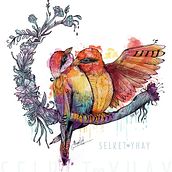 Aves. Un progetto di Illustrazione tradizionale di Selket Yhay - 10.01.2018