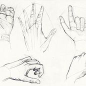 Ilustración de anatomía. Traditional illustration project by Jose Blasco Pitarch - 01.13.2018