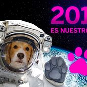 2018, año del perro. Cop, and writing project by Álvaro Rodríguez de Miguel - 01.09.2018