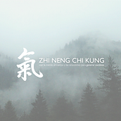 Landing Page Zhi Neng, Escuela Alfa. Un proyecto de Dirección de arte, Diseño y Diseño gráfico de AITOR GARCÍA - 15.01.2018
