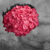Intentando ver la vida de color rosa. Een project van Fotografie y Retoucheren van foto's van mmendezvigo - 09.01.2018