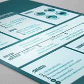 curriculum. Design, Graphic Design & Infographics project by Anastasia Makarevich - 01.23.2018