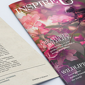 Magazine. Un proyecto de Diseño, Diseño editorial, Retoque fotográfico y Diseño gráfico de cr3bl - 25.01.2018