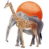 Ilustración digital con lápices de colores. Traditional illustration project by Begoña Seoane - 01.28.2018