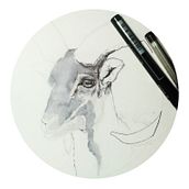 Serie animales. Un proyecto de Ilustración tradicional de raquel de castro muñoz - 05.02.2018