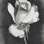 Blanco y negro. Trabajos de 4-6 horas. . Fine Arts project by Judith Solvez Vilamala - 05.10.2015