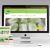 Nopal. Un progetto di Web development e Graphic design di Francisco Javier Melero - 13.02.2017