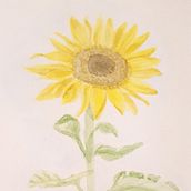 girasol. Fine Arts project by Mayumi Hermosa Castro - 02.14.2018