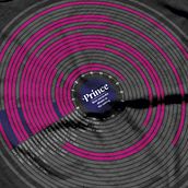 Camisetas con infografías de músicos.  project by numerica - 02.19.2018