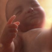 Bebe 3D. Un proyecto de 3D y Animación de personajes de Miguel Casso - 14.05.2012