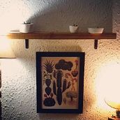 Suculentas - un mundo por descubrir -. Un progetto di Fotografia di MICAELA ALVAREZ - 23.02.2018