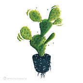Nopal / Ilustración. Interior Architecture, Arts, Crafts, Fine Arts, Design, Interior Design, Graphic Design, Traditional illustration, and Painting project by Patricia Pagnucco - 12.15.2017