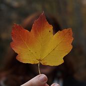 NAVARRA Y SUS VISTAS. Photograph project by Cristina García Galietero - 03.05.2018