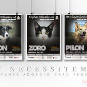Campanya publicitària d'adopció animals. Un progetto di Graphic design e Pubblicità di Montse Sala - 06.03.2018