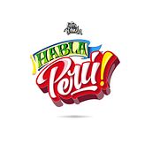 HABLA PERÚ - LETRA PERUCHA. Traditional illustration, and Lettering project by Harol Gómez Sojo - 03.15.2018