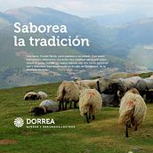 DORREA | Dirección de arte digital. Un progetto di Direzione artistica e Web design di Barantza - 16.03.2018
